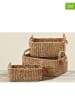 Boltze 3er-Set: Körbe "Sophy" in Natur