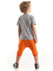 Denokids 2-delige outfit "Yoo Tiger" grijs/oranje