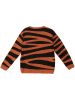 Denokids Pullover "Tiger" in Hellbraun