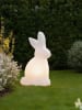 8 seasons Lampa dekoracyjna LED "Shining Rabbit" w kolorze białym - wys. 50 cm