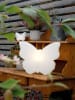 8 seasons Lampa solarna "Shining Butterfly" w kolorze białym - 55 x 40 cm