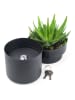 SAX Blumentopf-Safe in Schwarz