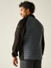 Regatta Hybridjacke "Clumber" in Anthrazit