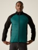 Regatta Hybridjacke "Clumber" in Türkis