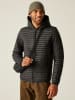 Regatta Steppjacke "Rigain" in Schwarz