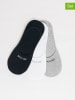 BIG STAR Skarpety-stopki (3 pary) w kolorze czarnym, białym i szarym