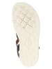 Geox Sandalen donkerblauw