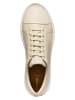 Geox Leder-Sneakers "Nebula 2.0 C" in Beige