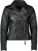 Apple of Eden Lederjacke in Schwarz