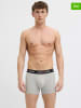 Jack & Jones 7-delige set: boxershorts grijs