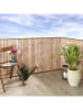 Wenko Balkon-Sichtschutz in Hellbraun - (B)500 x (H)85 cm