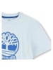 Timberland Shirt in Hellblau