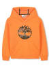 Timberland Hoodie in Orange