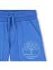Timberland Shorts in Blau