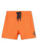 Timberland Shorts in Orange