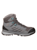 LOWA Trekkingboots "Trek Evo GTX" in Grau