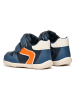 Geox Sneakers "Zapito" in Blau