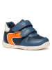 Geox Sneakers "Zapito" in Blau
