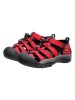 Keen Wandersandalen "Newport H2" in Rot