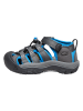 Keen Wandelsandalen antraciet/blauw