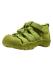 Keen Wandersandalen "Newport H2" in Grün