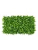 Garden Spirit Wanddecoratie groen - (L)60 x (B)40 cm