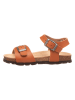 Little Sky Sandalen in Camel