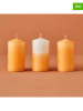 BELLA MAISON 3er-Set: Stumpenkerzen "Hill Baton Mum" in Orange - (H)11 x  Ø 5 cm