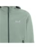 Jack Wolfskin Softshelljas "Fourwinds" grijsgroen