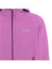 Jack Wolfskin Softshelljas "Fourwinds" paars