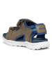 Geox Sandalen "Vaniett" in Braun/ Blau
