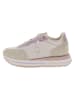 U.S. Polo Assn. Sneakers in Beige/ Lila
