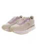 U.S. Polo Assn. Sneakers in Beige/ Lila