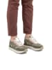 U.S. Polo Assn. Sneakers "Sacha" in Khaki/ Rosa