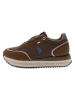 U.S. Polo Assn. Sneakers "Sacha" in Braun