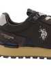 U.S. Polo Assn. Sneakers in Braun