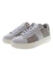 U.S. Polo Assn. Sneakers grijs/bruin