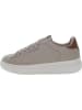 U.S. Polo Assn. Sneakers in Beige