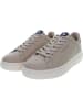 U.S. Polo Assn. Sneakers in Beige