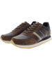 U.S. Polo Assn. Sneakers bruin