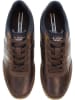 U.S. Polo Assn. Sneakers bruin