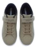 U.S. Polo Assn. Sneakersy w kolorze khaki