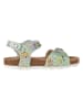 BIO PINGÜIN Sandalen in Grün
