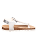BIO PINGÜIN Teenslippers zilverkleurig