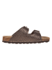 BIO PINGÜIN Slippers bruin