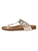 BIO PINGÜIN Teenslippers goudkleurig