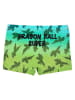 Dragon Ball Badehose "Dragon Ball" in Grün/ Bunt