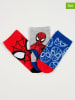 Spiderman 3-delige set: sokken "Spiderman" rood/grijs/blauw