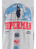 Superman Hoodie "Spiderman" grijs