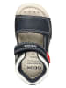Geox Sandalen "Tapuz" donkerblauw